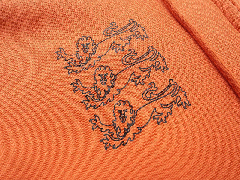 Close-up of lion graphic print on the orange hoodie chest