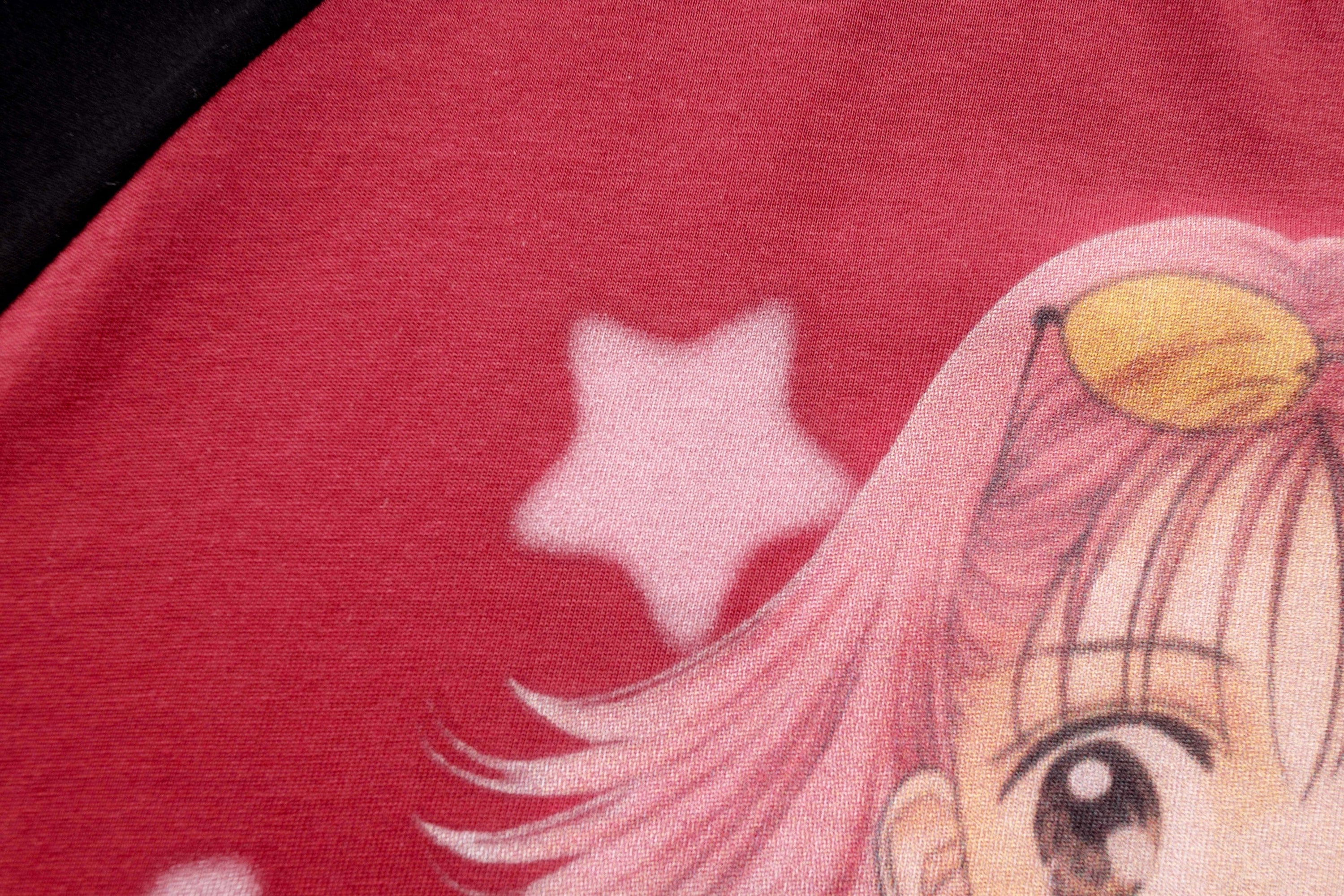 Anime Graphic Raglan Long Sleeve Tee | Streetwear Cotton Top