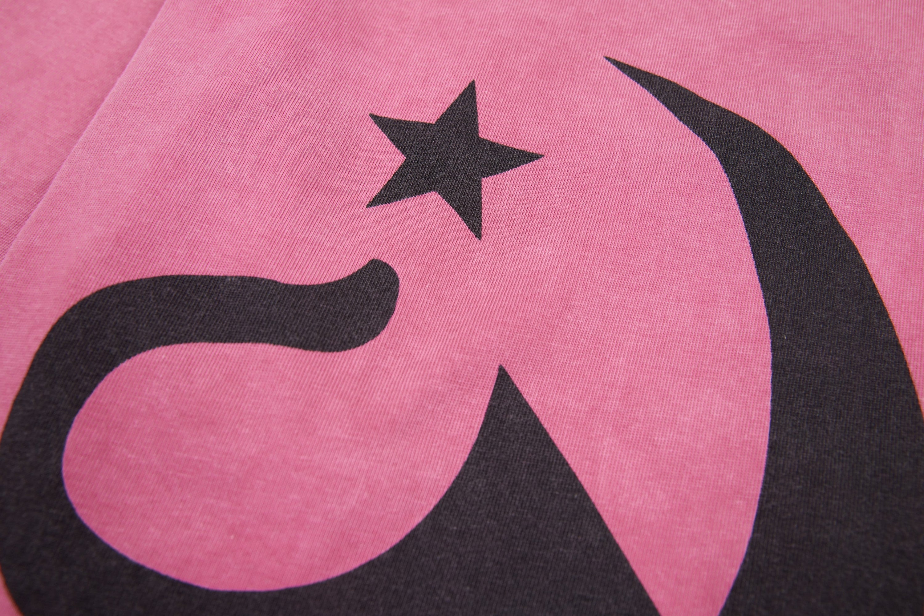 Archival Graphic Heavyweight Long Sleeve Cropped Tee