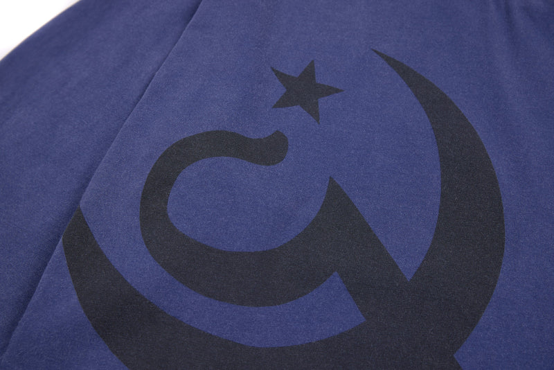 Front graphic close-up with black circular arch and star on blue tee
