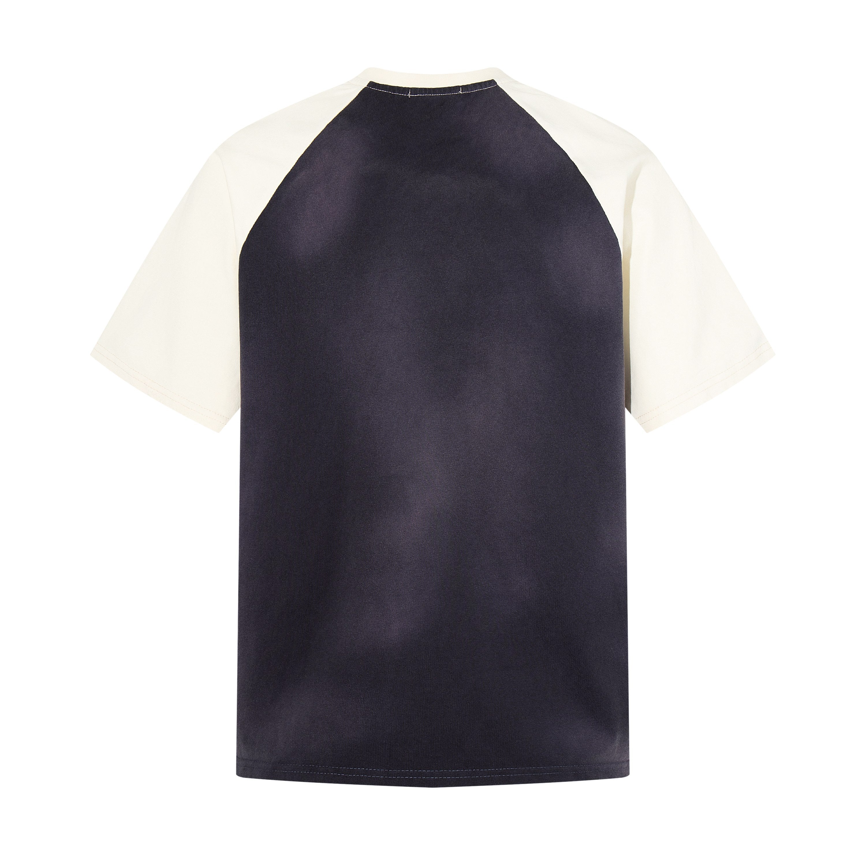 Vintage Raglan Band Tee | Washed Grunge Streetwear Graphic Shirt