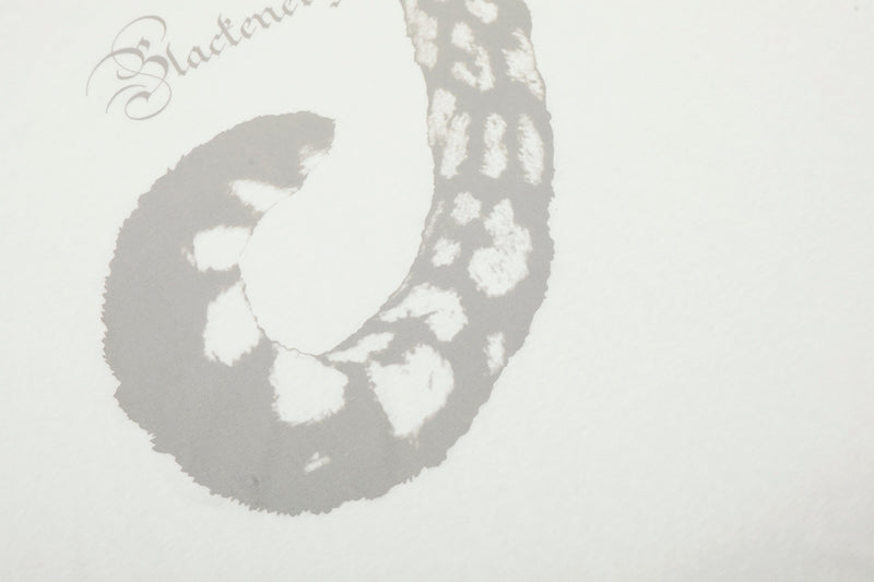 Close-up of white tee front graphic with curved abstract design