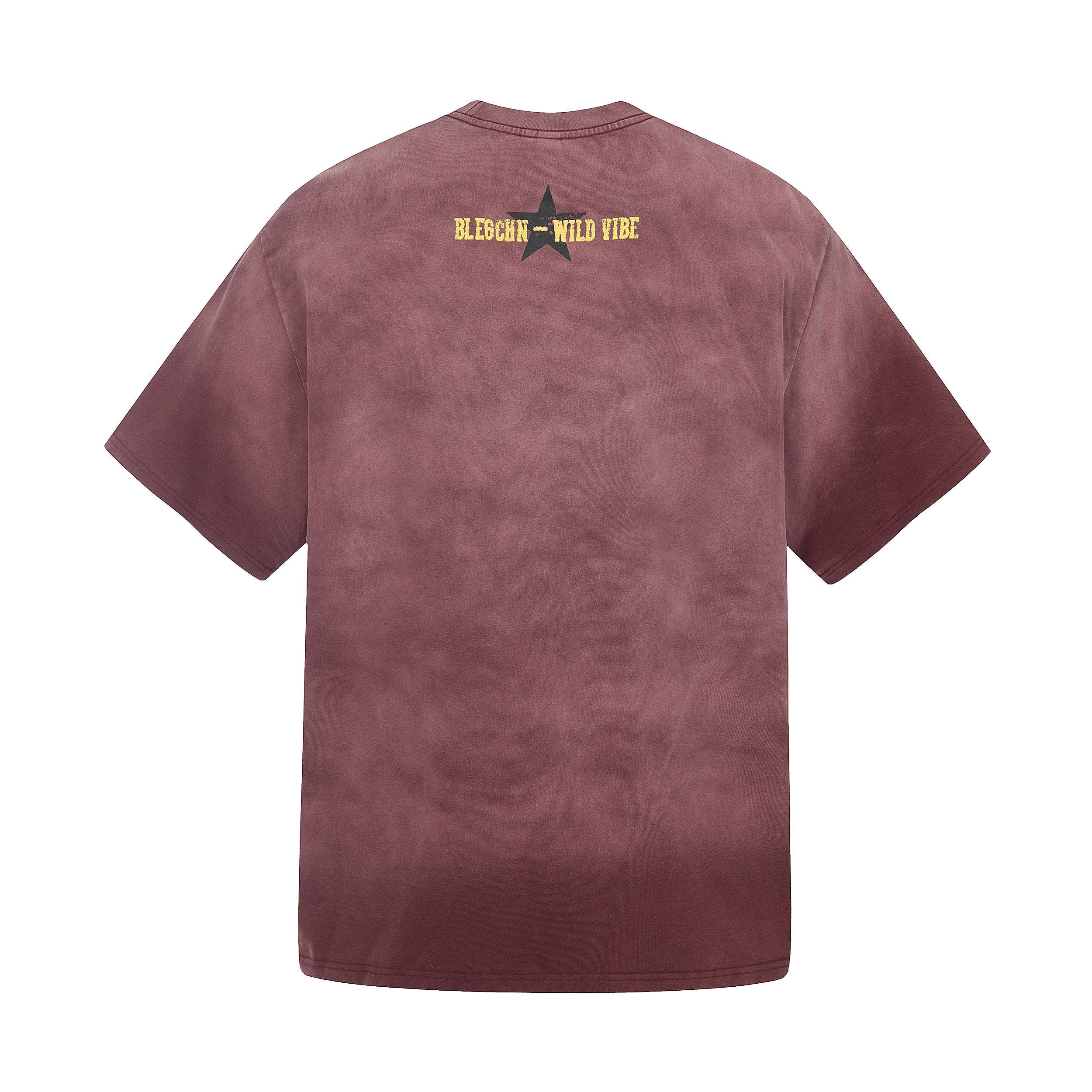 Wild Star Vintage Washed Graphic T-Shirt | Streetwear Tee