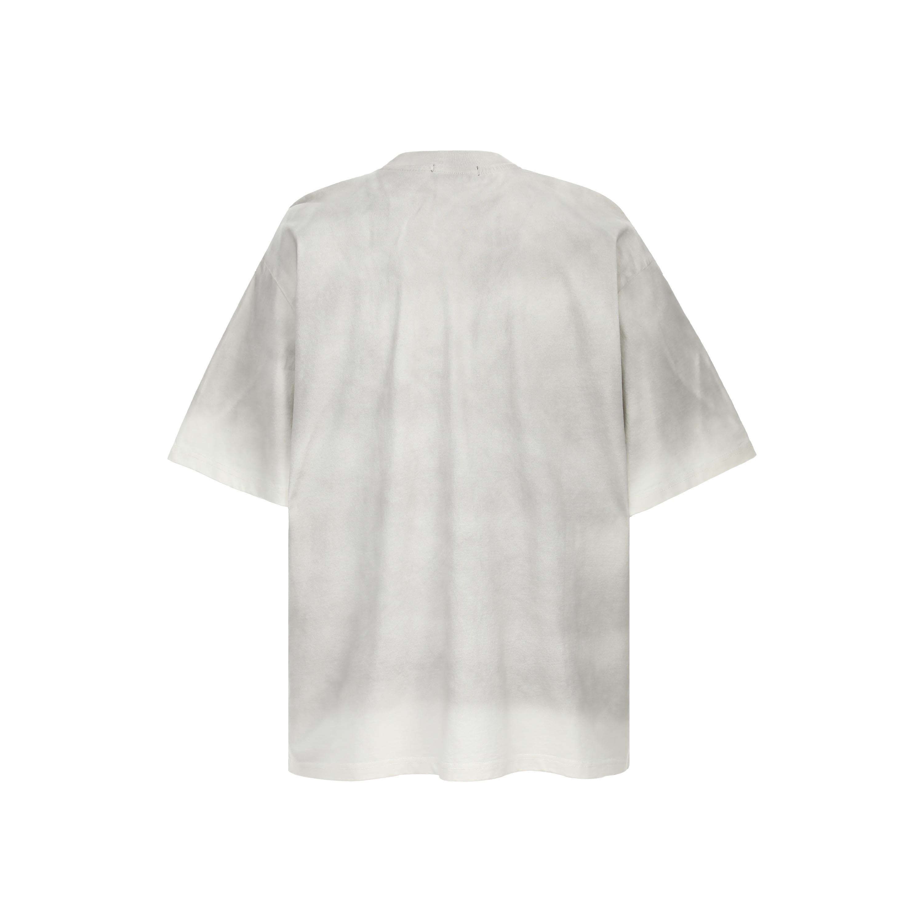 Secret Garden Graphic Panel Oversized T-Shirt | Streetwear Tee