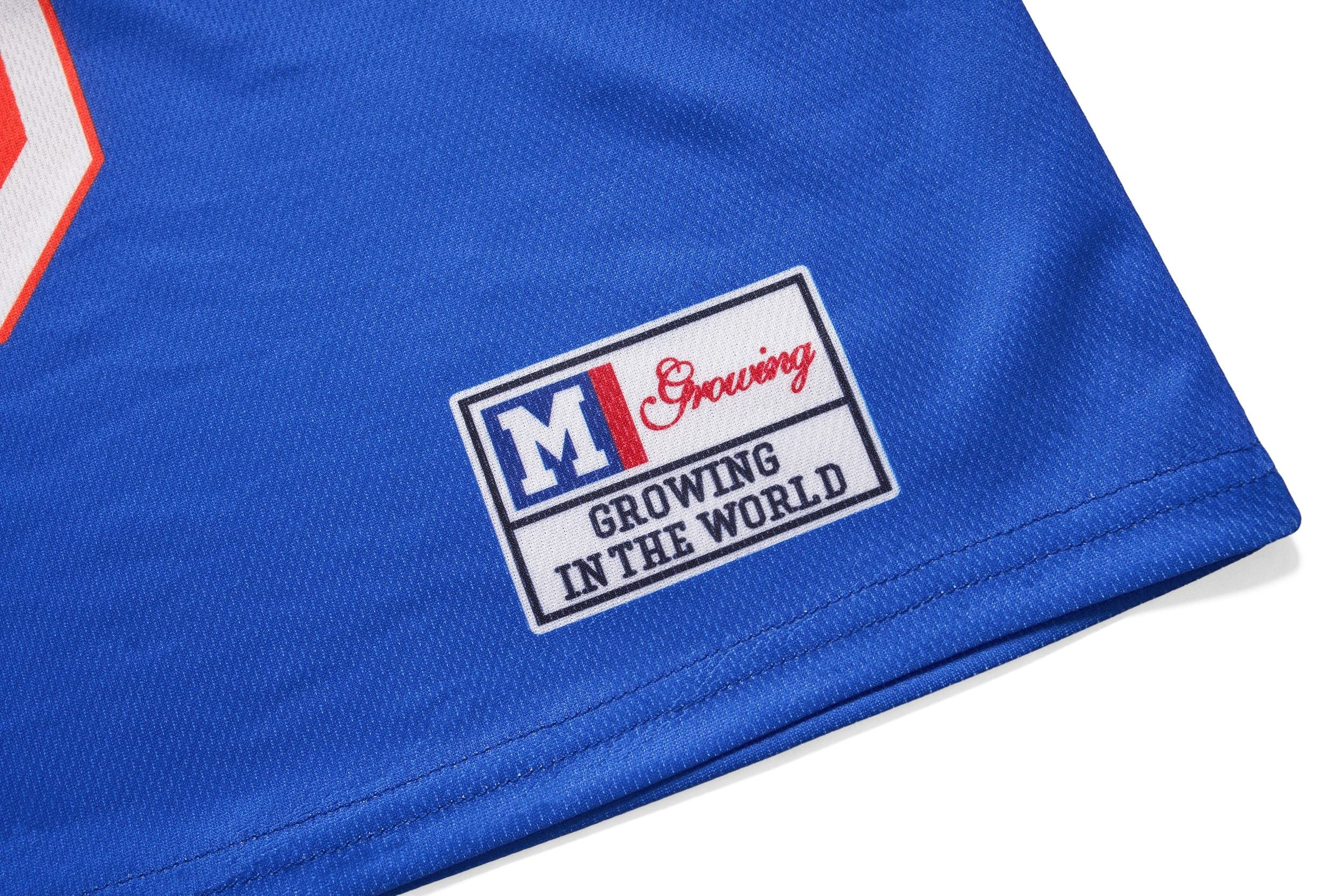 Growing 99 Varsity Mesh Crop Jersey | Streetwear Athletic Tee