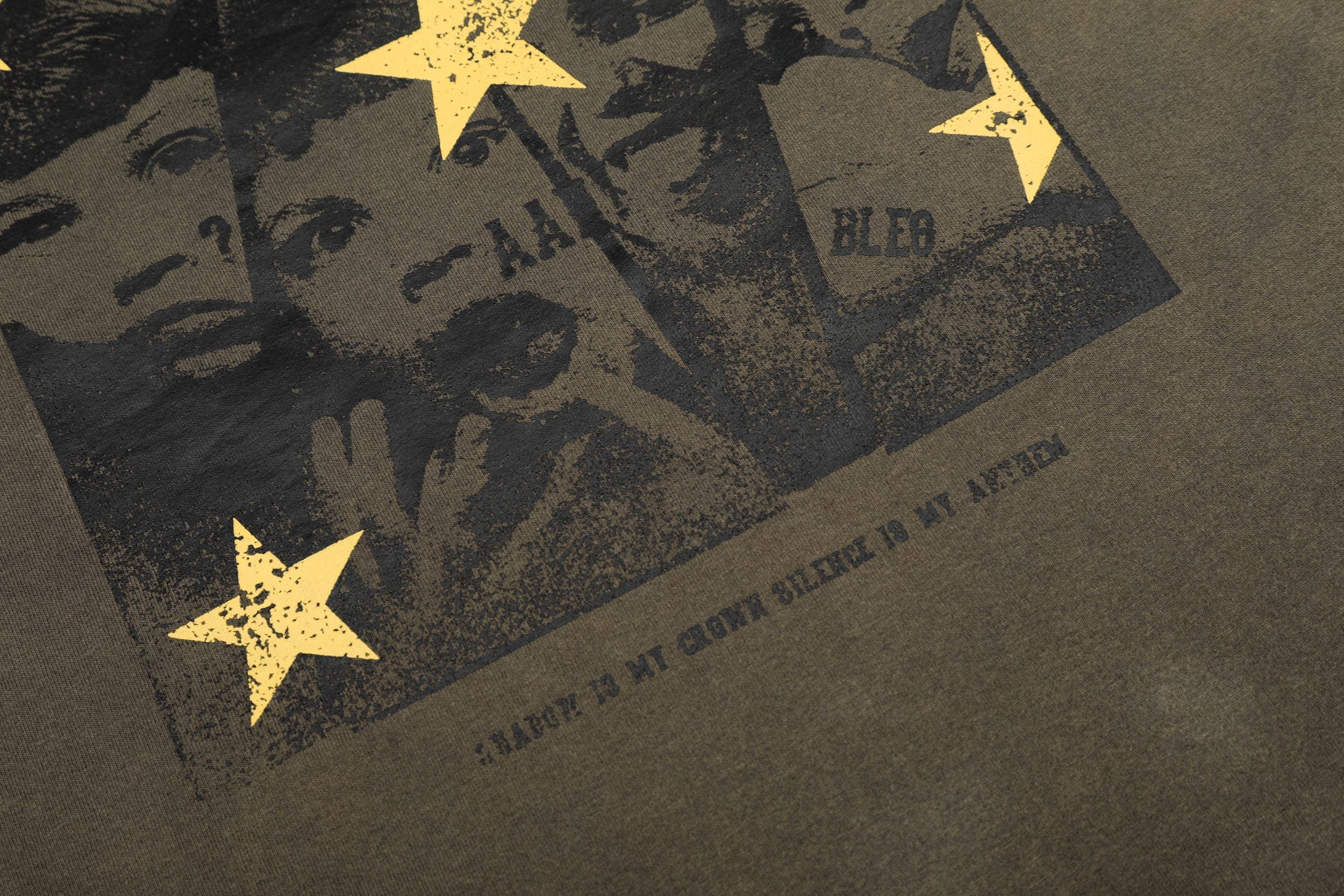 Wild Star Vintage Washed Graphic T-Shirt | Streetwear Tee