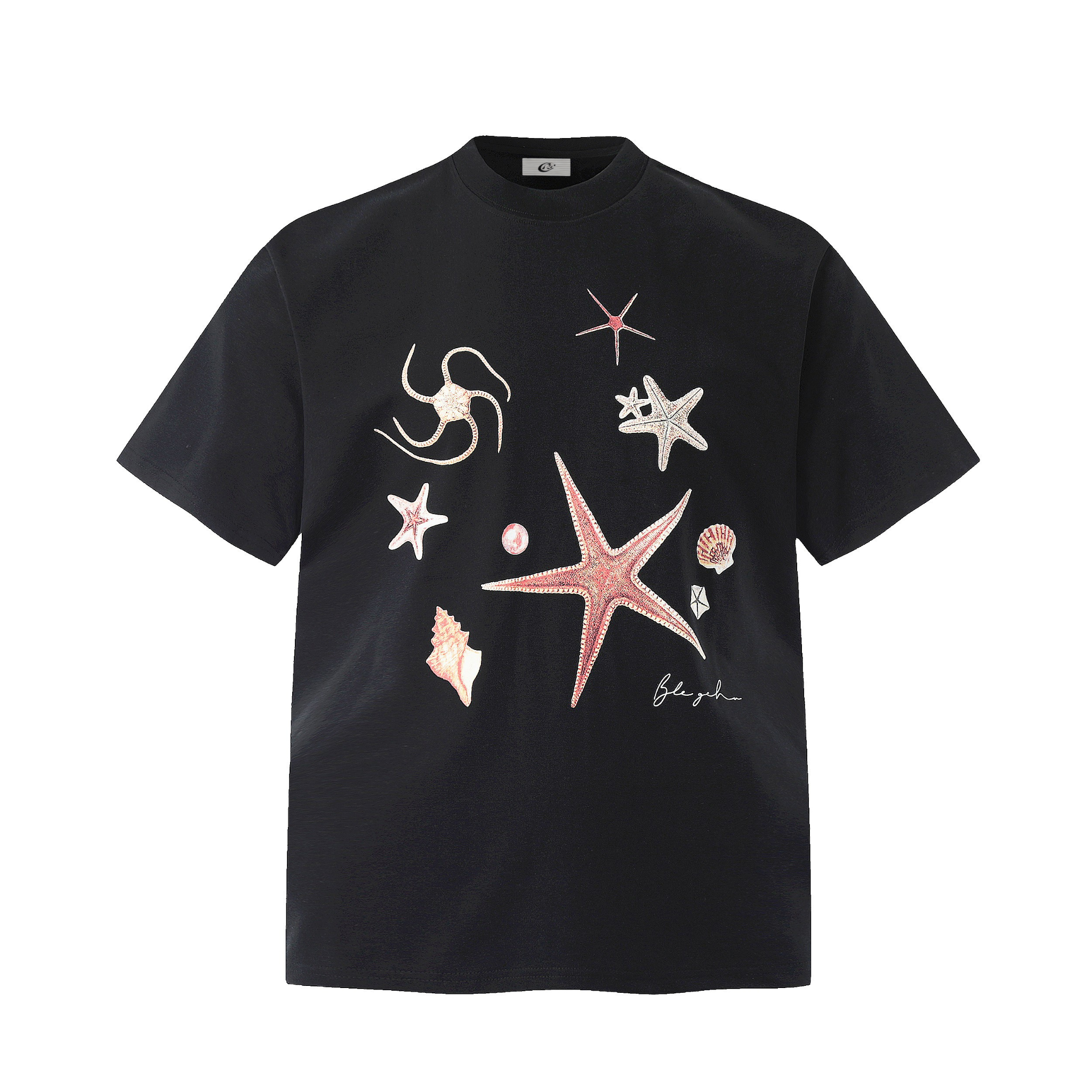 Starfish & Shell Graphic T-Shirt | Coastal Print Tee