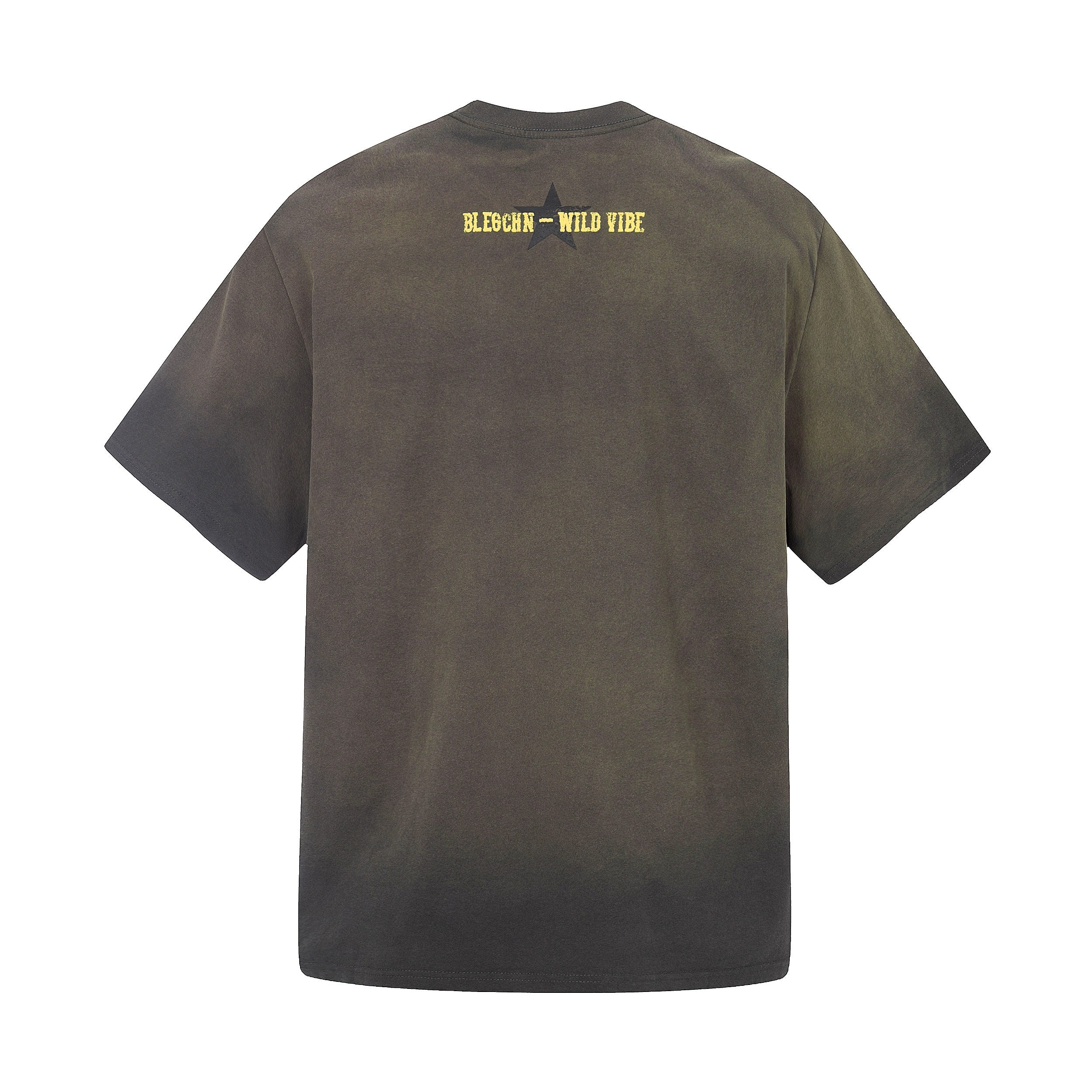 Wild Star Vintage Washed Graphic T-Shirt | Streetwear Tee