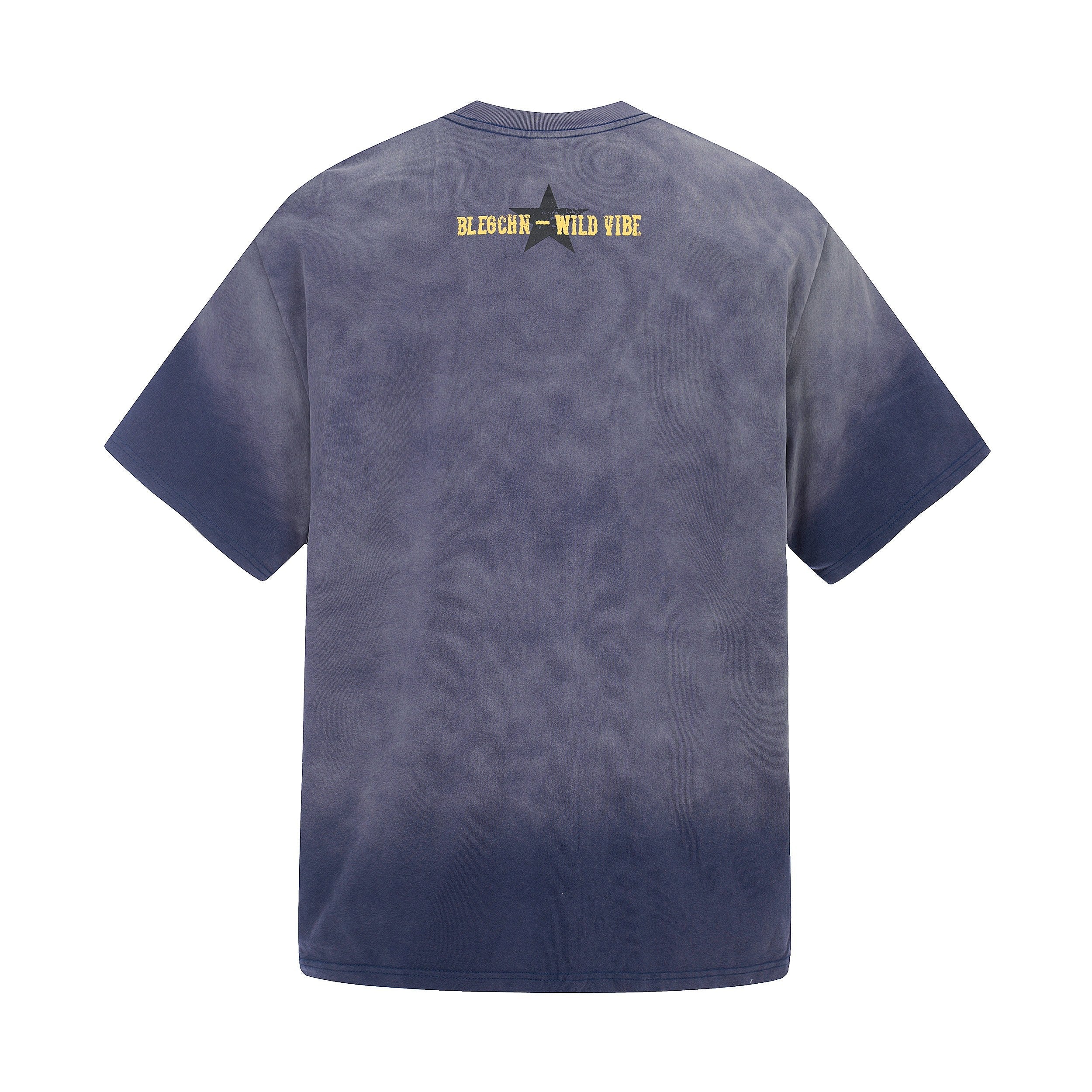 Wild Star Vintage Washed Graphic T-Shirt | Streetwear Tee