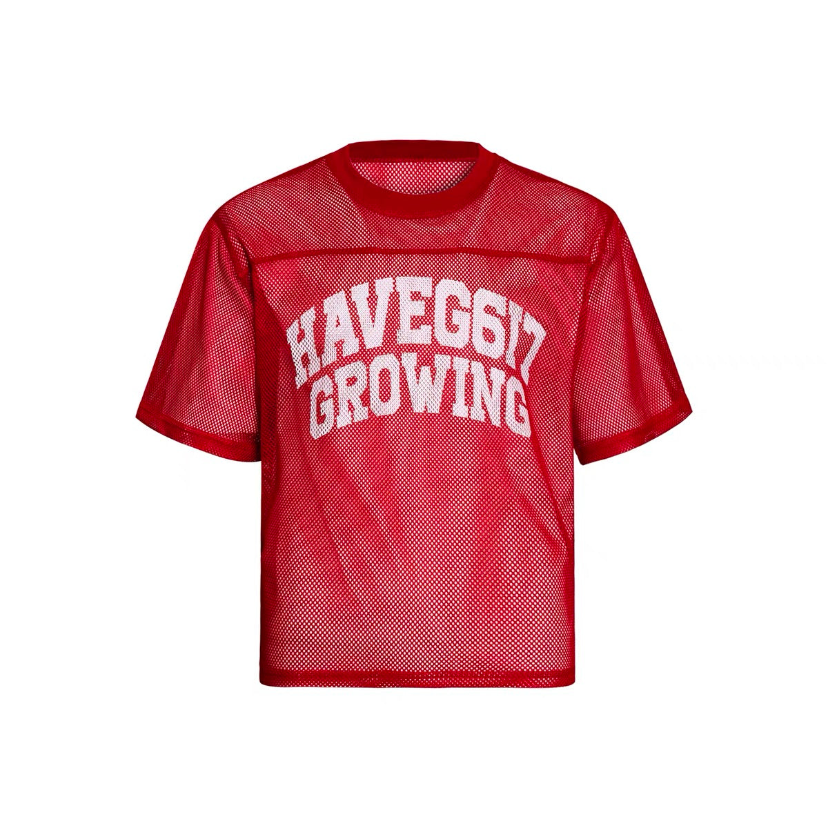 HAVEG617 Growing Mesh Jersey Tee | Varsity Graphic Street Style