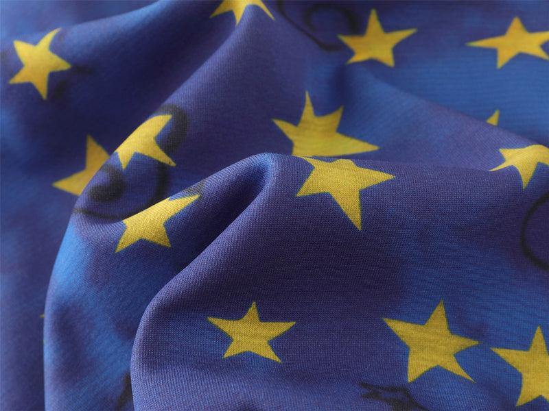 Thick Zip-Up Hoodie Allover Star Print with Embroidered Script Logo