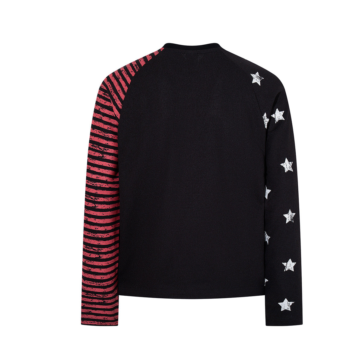 Bad Religion Longsleeve mit Grafik – Farbblock-Print mit Sternen und Streifen