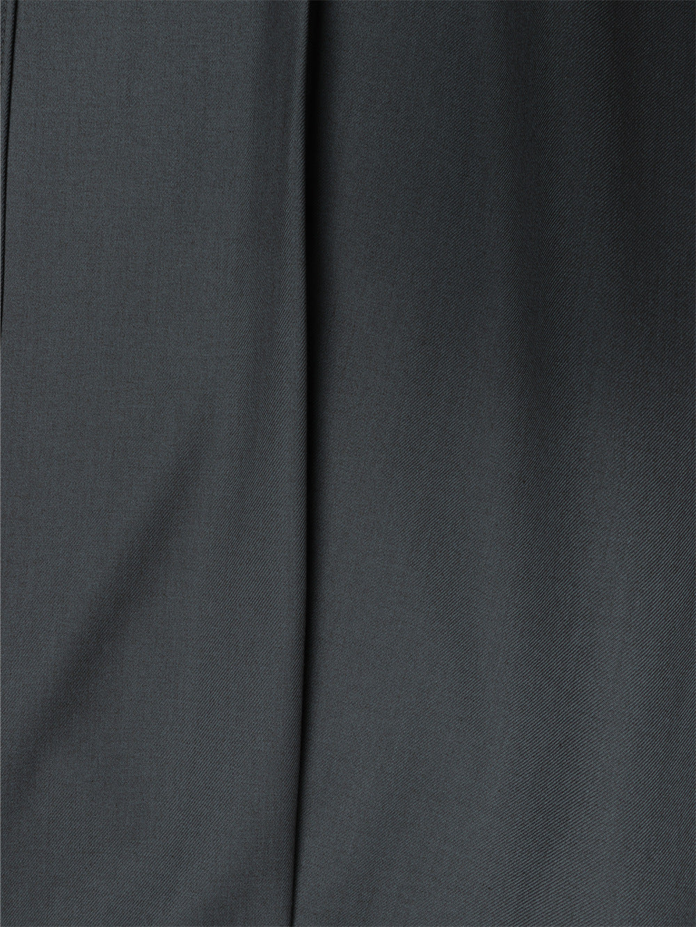 Wide-Leg Pleated Trousers – Diagonal Button Fly, Relaxed Silhouette