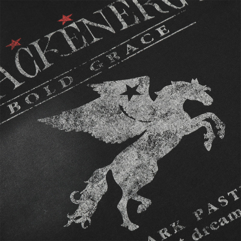 Herren-Grafikshirt Langarm mit Pegasus-Print, verwaschen, Distressed-Rundhals-Shirt