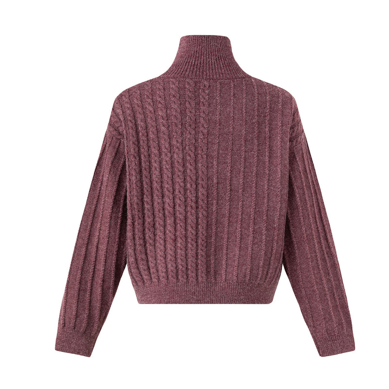 Pull col roulé en maille torsadée avec détail boutonné en diagonale