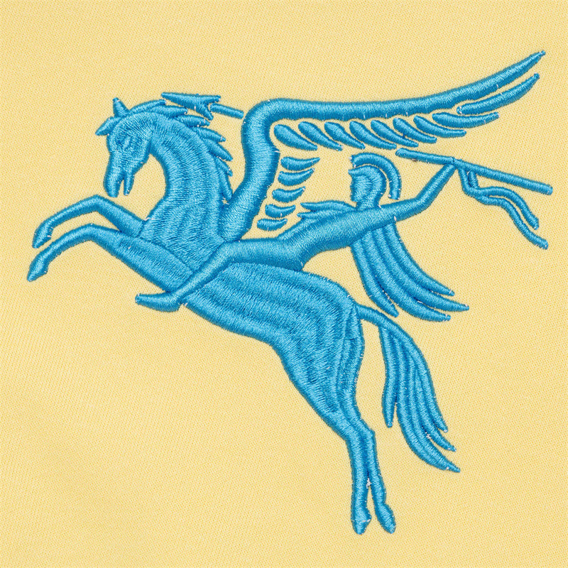 Sweat à capuche zippé brodé Pegasus – Streetwear américain numéro 3