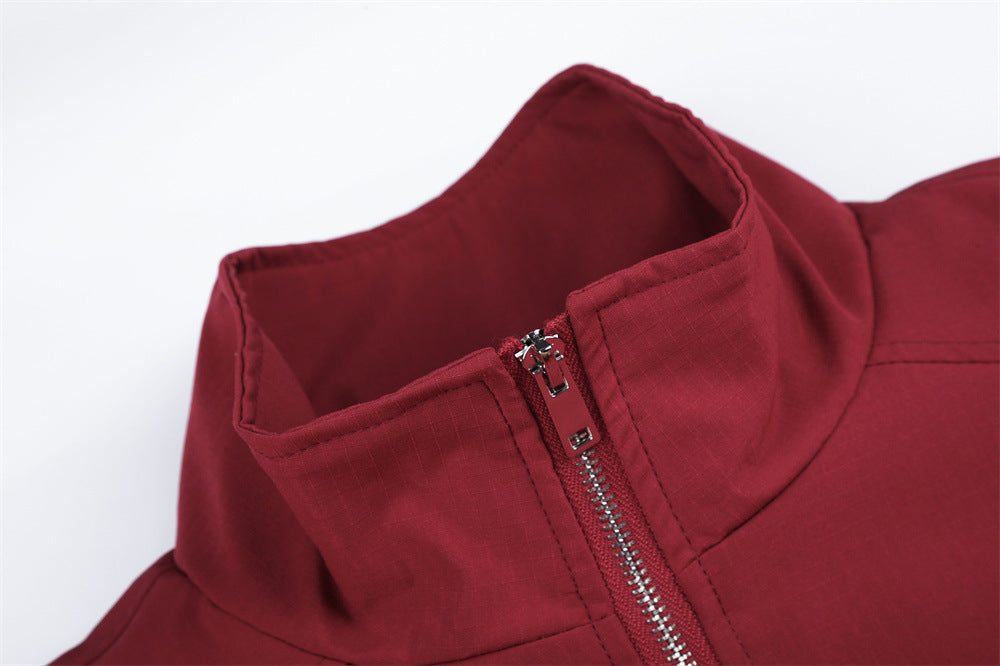 Men's Colorblock Track Jacket & Wide-Leg Pants Tracksuit Set with Mock Neck
