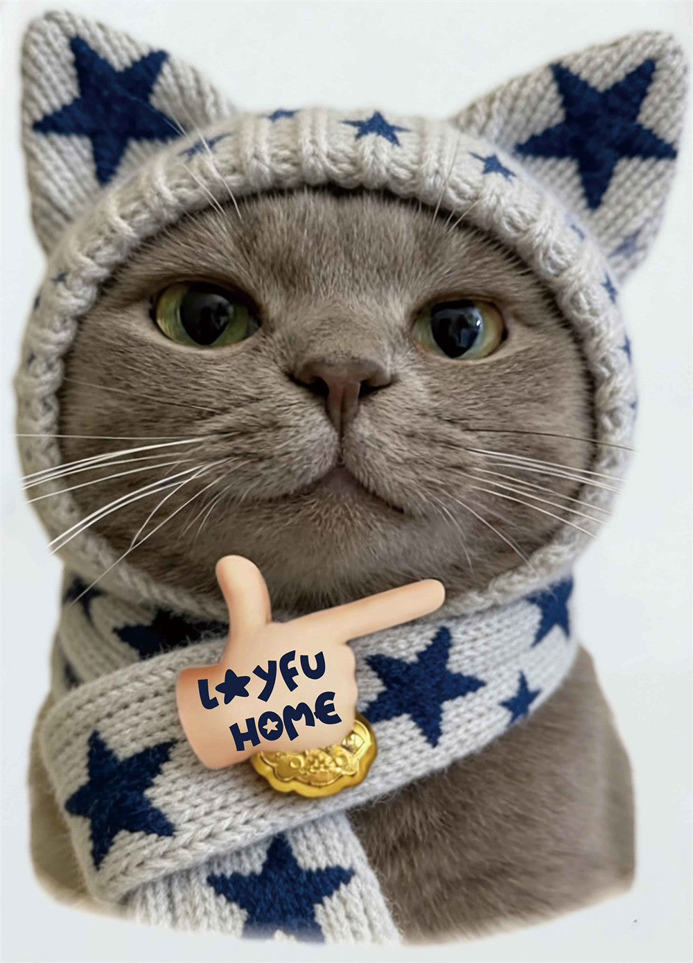 Lustiges Katzen-T-Shirt – Oversize-Kurzarmshirt für Herren mit süßem Meme