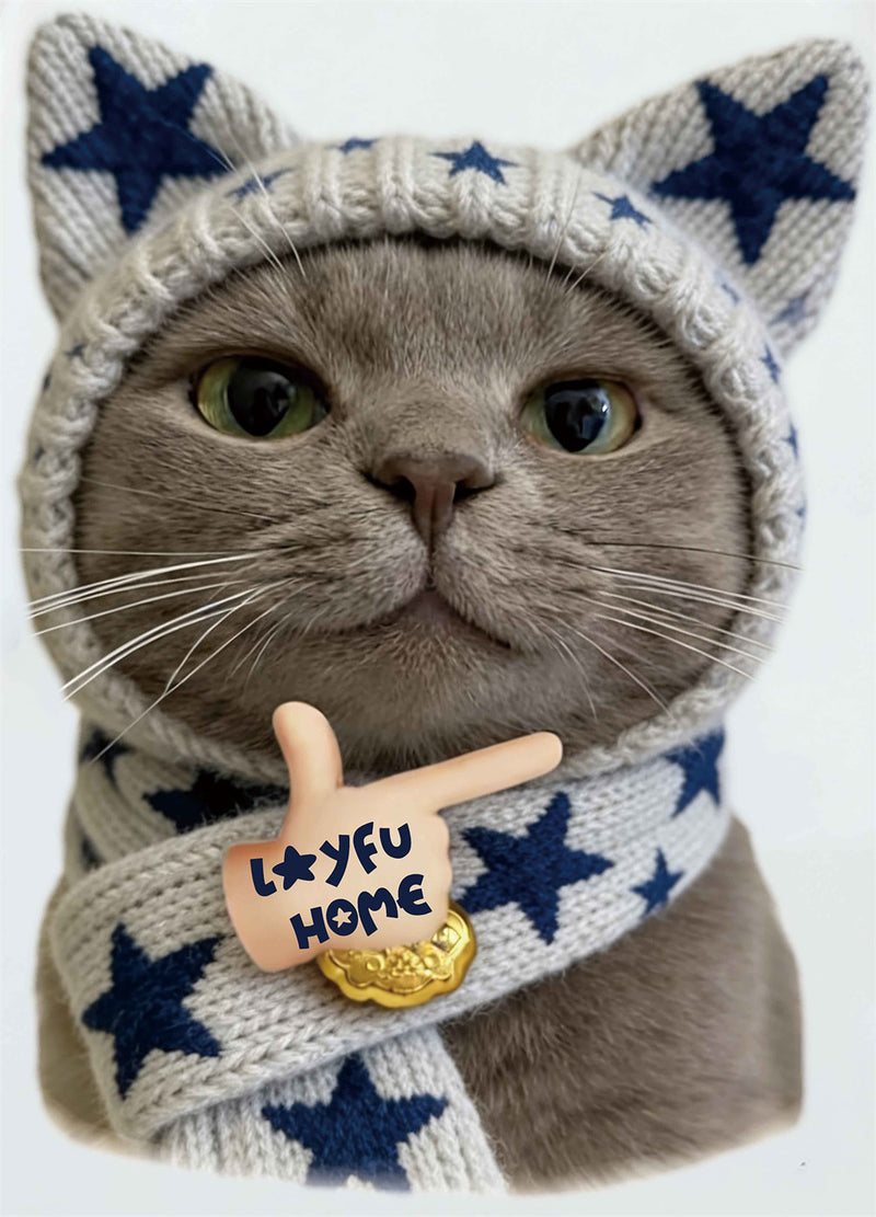 Lustiges Katzen-T-Shirt – Oversize-Kurzarmshirt für Herren mit süßem Meme