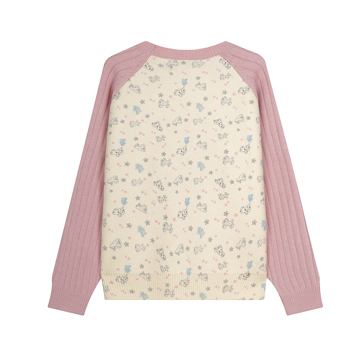 Girls Crew Neck Sweater – Cute Dog Print Raglan Sleeve Knit Top