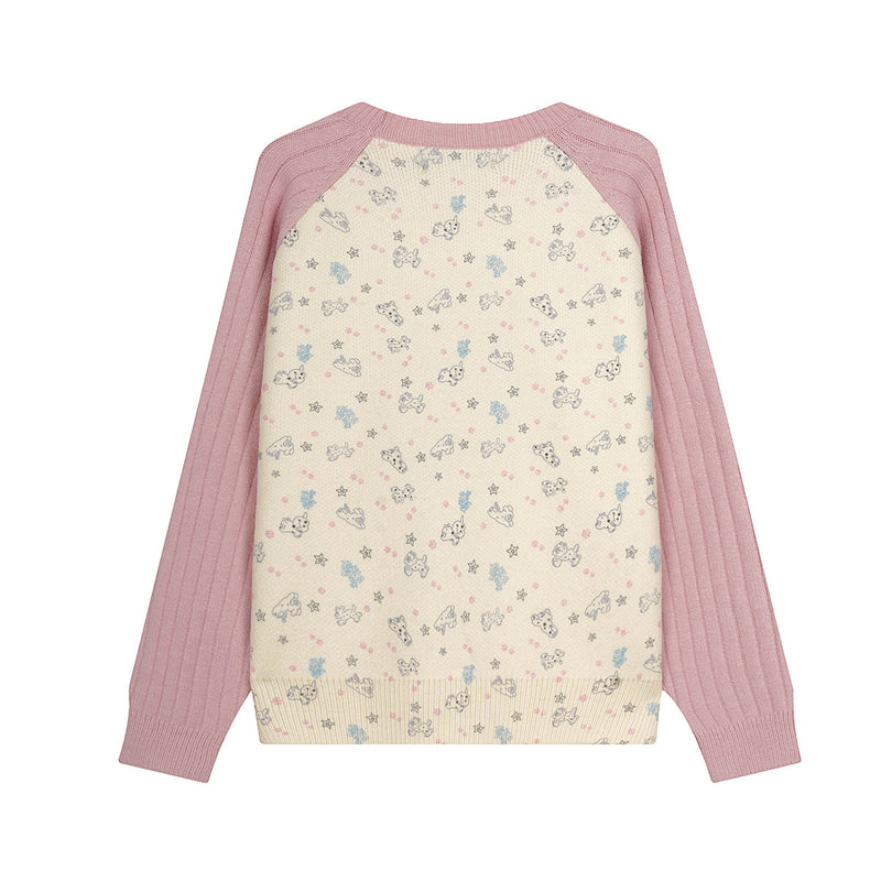 Girls Crew Neck Sweater – Cute Dog Print Raglan Sleeve Knit Top