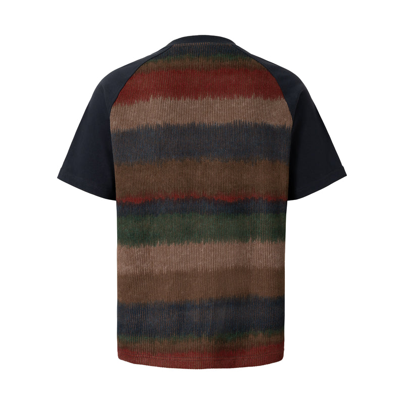 Back view of a black raglan crewneck T-shirt with multicolor gradient stripe pattern on the body and sleeves