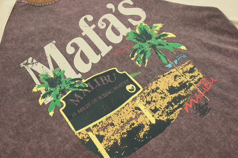 Vintage Malibu washed raglan tee with palm tree graphic, beach sign print, and faded coastal streetwear style