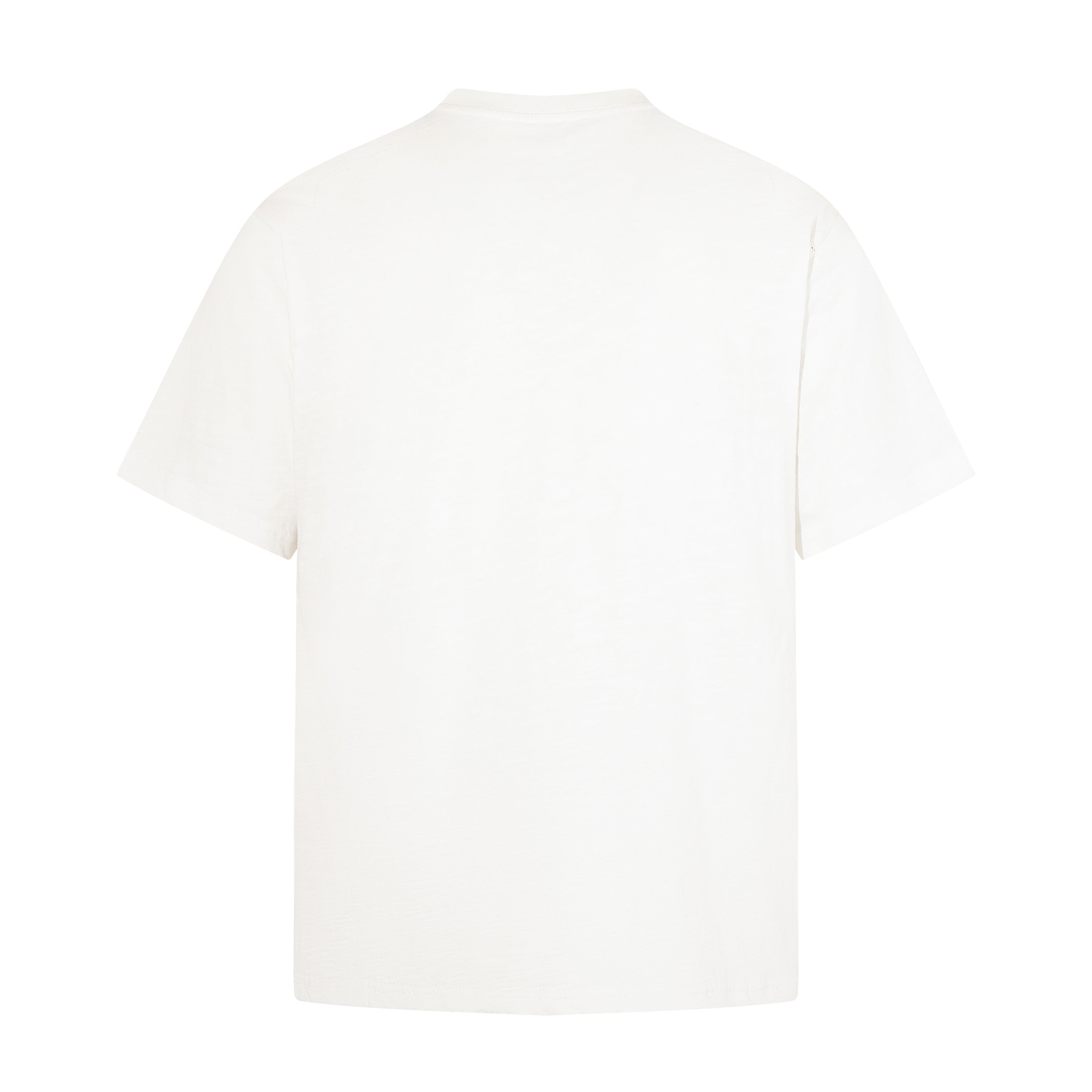 Omirad SWANS SINS Punk Graphic T-Shirt | Streetwear Tee
